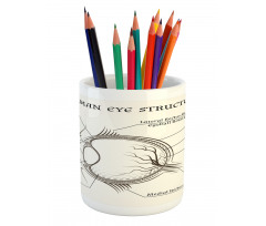 Structure of the Human Eye Pencil Pen Holder