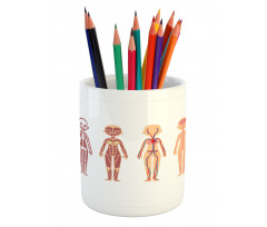 Female Body Anatomy Chart Pencil Pen Holder