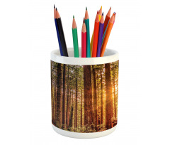 Redwoods Forestry Pencil Pen Holder