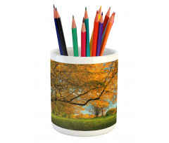 Tree Branches Blue Sky Pencil Pen Holder