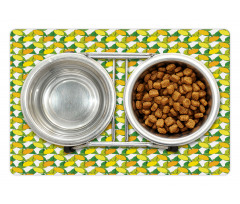 Vitamin C Citrus Drawing Pet Mat