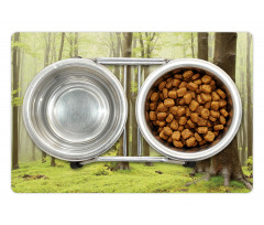 Misty Beech Forest Photo Pet Mat