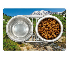 Edith Creek Mount Rainier Pet Mat