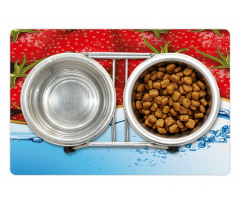 Summer Fruit and Water Pet Mat