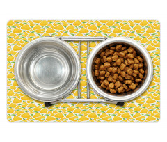 Fruit Basket Yummy Healthy Pet Mat