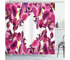 Fresh Spring Orchids Art Shower Curtain