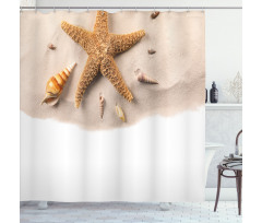 Close up Shot Seashells Shower Curtain