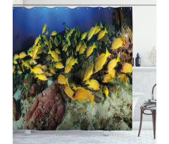 Tropical Fish Coral Reef Shower Curtain