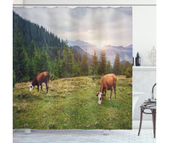 Cows Grazing in Meadow Shower Curtain