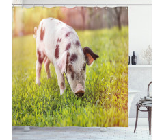 Baby Pig with Spots Shower Curtain