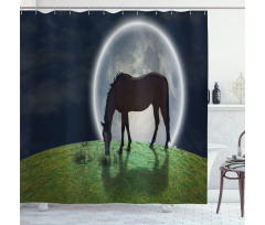 Horse on Hill Full Moon Shower Curtain