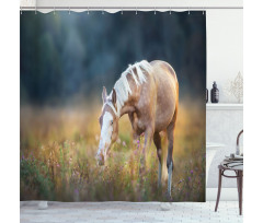 Palomino Horse Grazing Shower Curtain