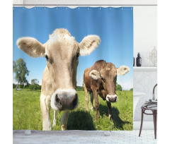 Close up Cows Shower Curtain