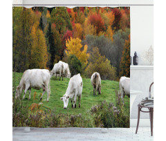 Cows on Autumn Hill Shower Curtain