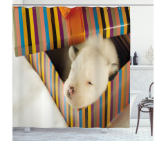 Newborn Dog in Gift Box Photo Shower Curtain