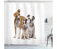 Funny Various Breeds of Dogs Shower Curtain