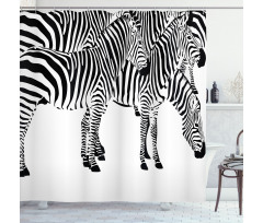 Wild Zebras Shower Curtain