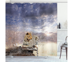 Cloudscape Sunset Scene Shower Curtain