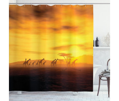 Dramatic Sunset Giraffes Shower Curtain