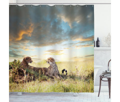 Dangerous Cheetahs in Africa Shower Curtain