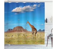 Savanna Giraffes Shower Curtain