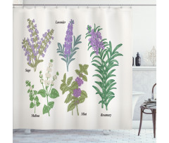 Botanical Infographic Plants Shower Curtain