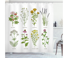 Natural Cosmetics Flowers Shower Curtain