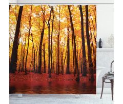 Autumn Forest Trees Shower Curtain