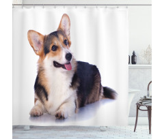 Pembroke Welsh Dog Lover Art Shower Curtain