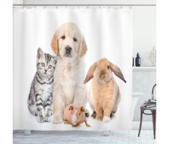 Bunny Piglet Staring Shower Curtain