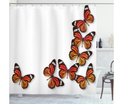 Spring Monarch Bug Shower Curtain