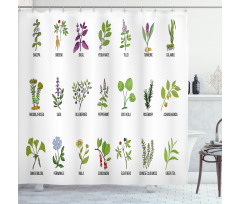 Educational Herbs Design Shower Curtain