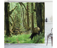 Roosevelt Elk in Park Shower Curtain