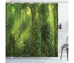 Sun Beams Tropic Forest Shower Curtain