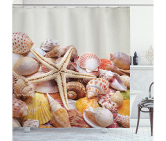 Pile of Seashells Beach Shower Curtain