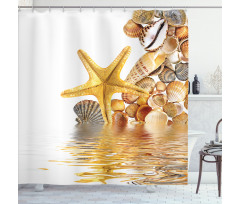 Sea Shells and Starfish Shower Curtain