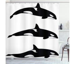 Orca Killer Whales Shower Curtain