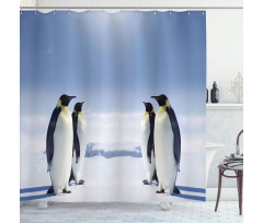 Penguins in Antarctica Shower Curtain