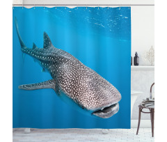 Swimming Whale Sea Shower Curtain