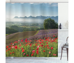 Lavender Farm Morning Shower Curtain