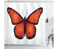 Big Monarch Breed Moth Shower Curtain