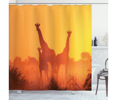 Sunset with Animals Shower Curtain