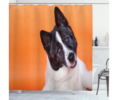 Akita on Orange Shower Curtain