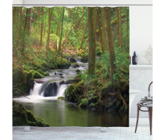 Forest over Mossy Rocks Shower Curtain