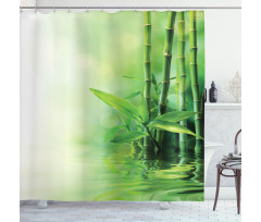 Spa Bamboos Trees Shower Curtain