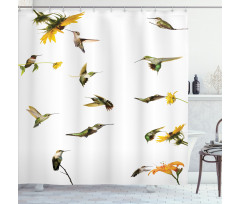 Hummingbird Sunflowers Shower Curtain