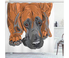 Sad Looking Dog Cartoon Shower Curtain