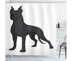 Purebred Dog on Plain Shower Curtain