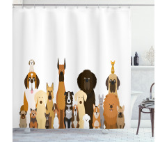 Various Breeds Funny Posing Shower Curtain