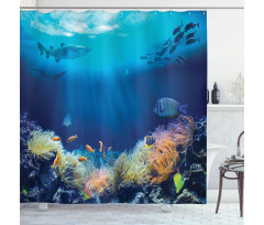 Various Fish Nautical Shower Curtain